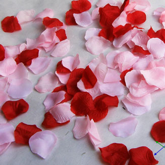 꽃잎폭죽-핑크&amp;레드 30cm 1개 ( 플라워샤워 결혼식 웨딩 에어 축포 파티샷 에어샷 장미 조화 생일)