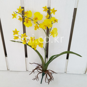 온시디움-노랑-뿌리형 조화 꽃