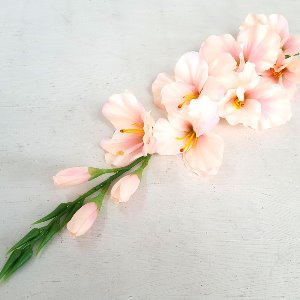 글라디올러스 핑크 조화 꽃