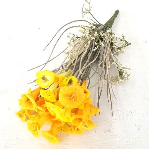 모닝글로리 옐로우 조화 꽃