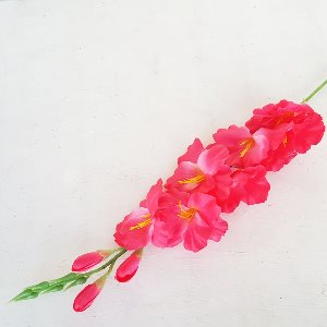 글라디올러스 진핑크 조화 꽃
