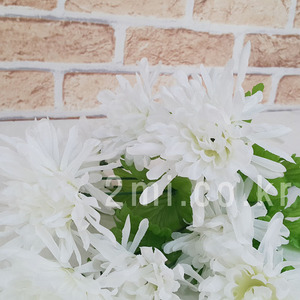 실국화-흰색 국화 조화 꽃