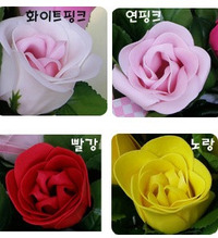 비누꽃 한송이판매- 튤립, 장미, 카네이션 (꽃다발 만들기 꽃바구니)